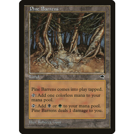 Pine Barrens