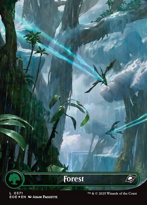 Forest (371) Full Art - Galaxy Foil