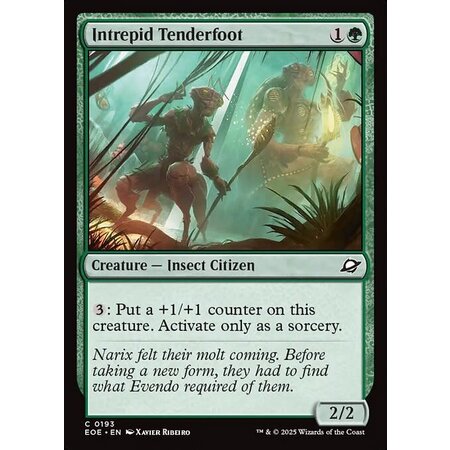 Intrepid Tenderfoot - Foil