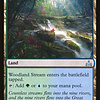 Woodland Stream
