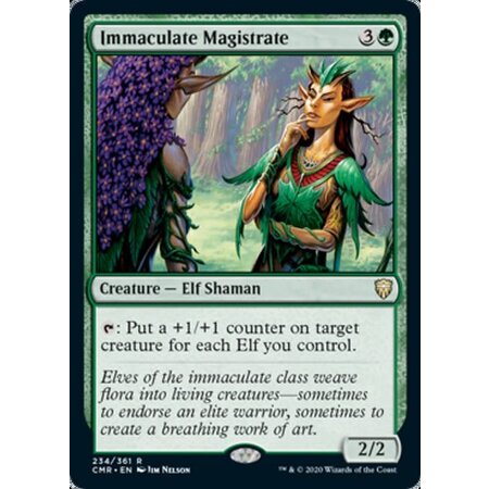 Immaculate Magistrate
