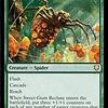 Sweet-Gum Recluse