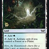Hushwood Verge - Foil - Prerelease Promo