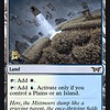 Floodfarm Verge - Prerelease Promo - Foil
