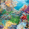 1000 - Reef Life