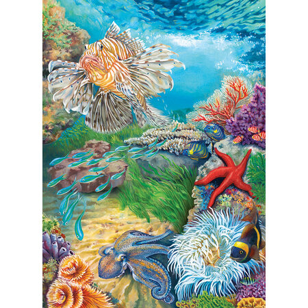 1000 - Reef Life