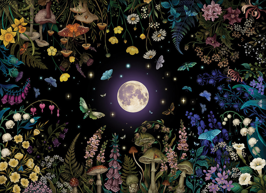 500 - Night Garden