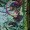 PREORDER - Dungeons & Dragons 5th Edition RPG: Forgotten Realms: Adventures In Faerun Alternate Art