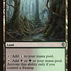 Tainted Wood
