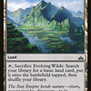 Evolving Wilds - Foil