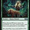 Eternal Witness - Foil