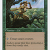Seeker of Skybreak
