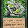 Root Sliver