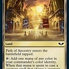 Path of Ancestry - Surge Foil
