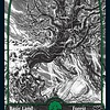 Forest (276) - Full Art