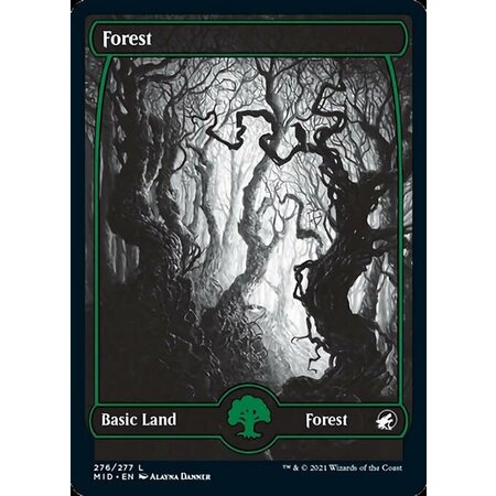 Forest (276) - Full Art