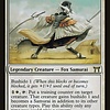 Sensei Golden-Tail