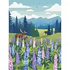 1000 - Lupines Meadow