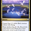 Migratory Route