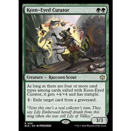 Keen-Eyed Curator