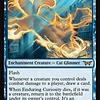 Enduring Curiosity - Foil