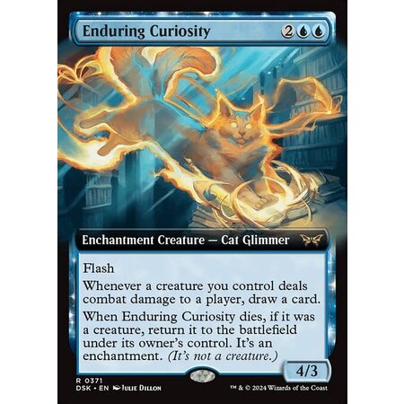 Enduring Curiosity