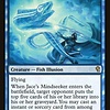 Jace's Mindseeker