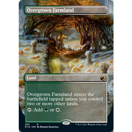 Overgrown Farmland