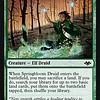 Springbloom Druid