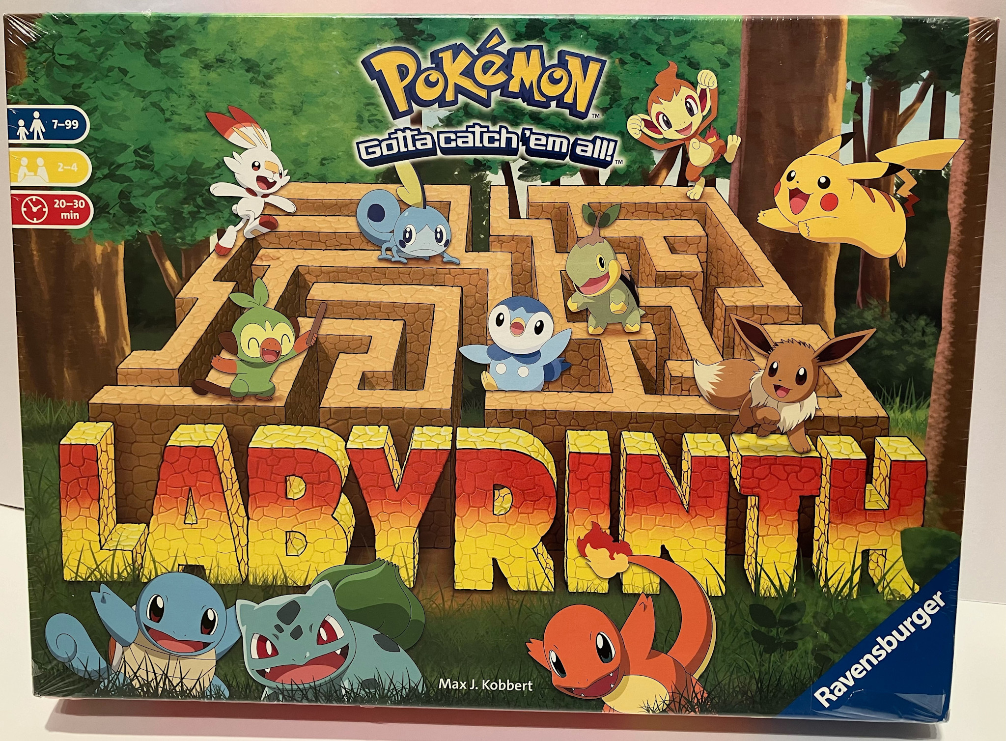 Pokemon Labyrinth
