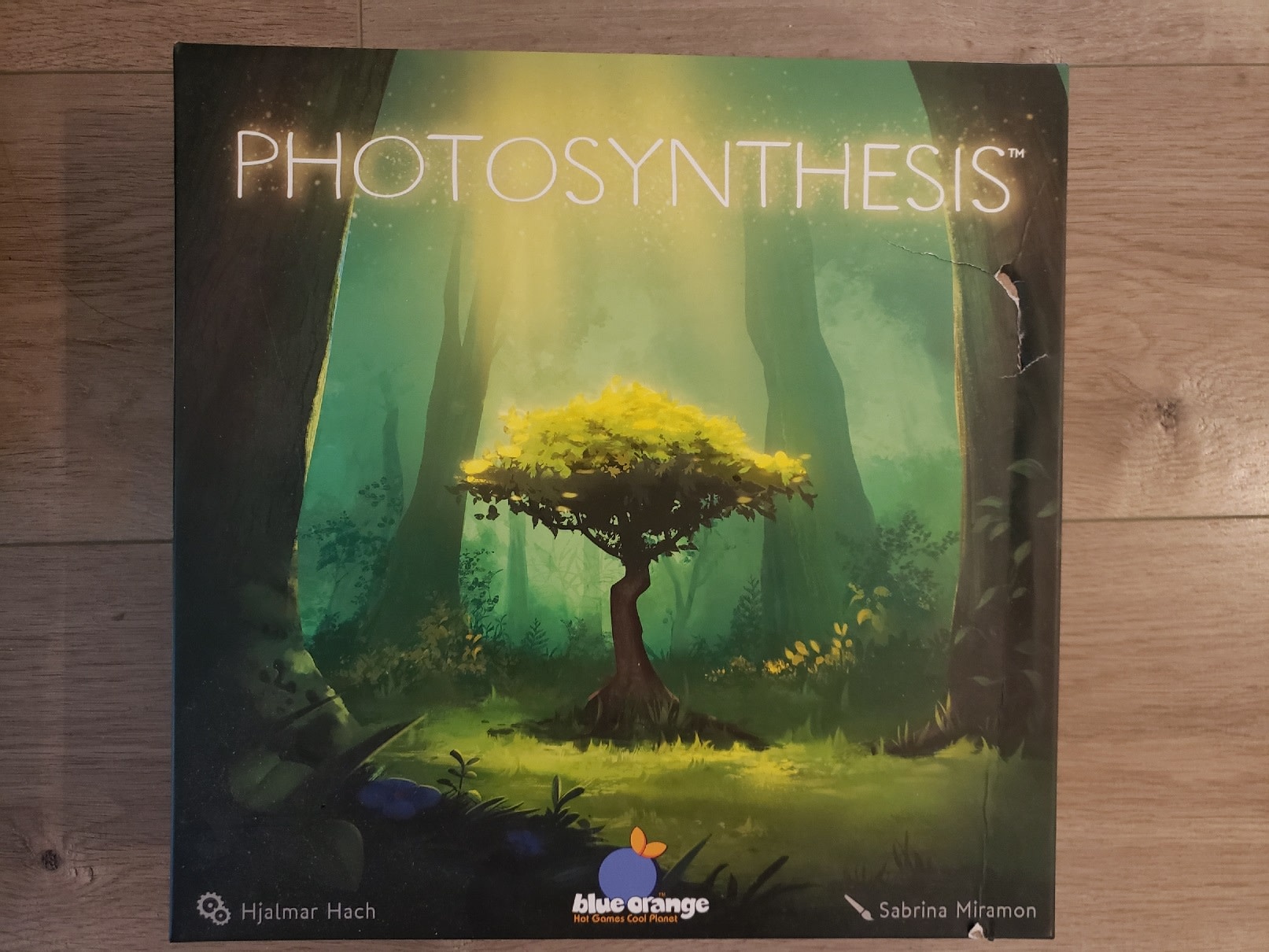 Photosynthesis