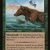 River Bear
