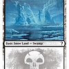 Snow-Covered Swamp