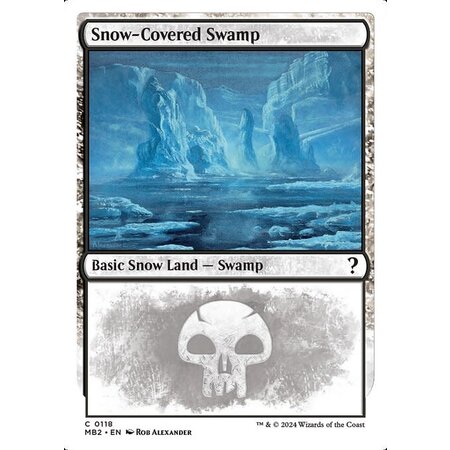 Snow-Covered Swamp