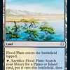 Flood Plain