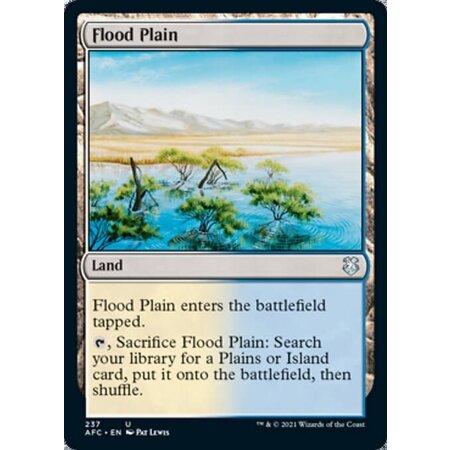Flood Plain
