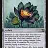 Lotus Bloom