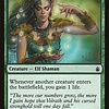 Essence Warden