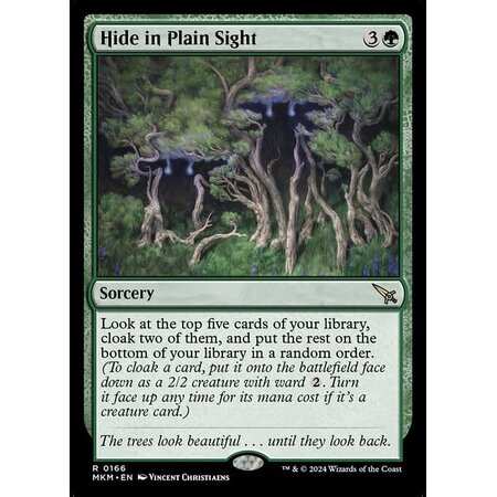 Hide in Plain Sight