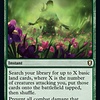 Jaheira's Respite