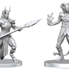 Pathfinder Battles Unpainted Minis - Vordine & Pitborn Rogue