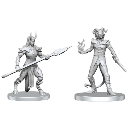 Pathfinder Battles Unpainted Minis - Vordine & Pitborn Rogue