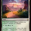 Sunpetal Grove