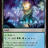 Flooded Grove