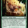 Badgermole - Foil