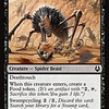 Canyon Crawler - Foil