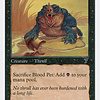 Blood Pet