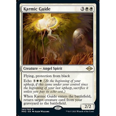 Karmic Guide