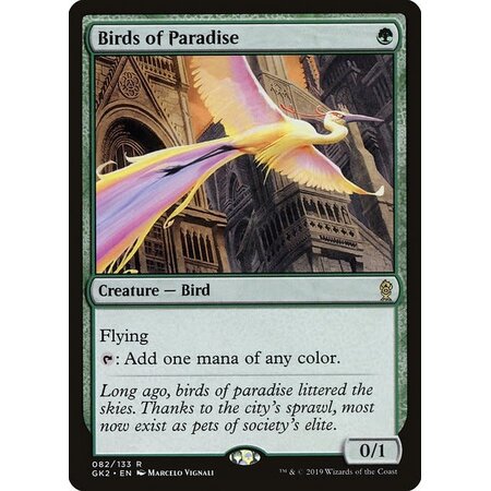 Birds of Paradise