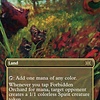 Forbidden Orchard - Foil